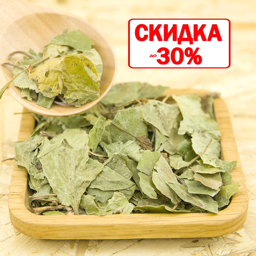 Грушанка (трава)