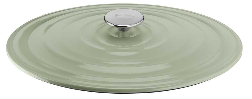 Овальная кастрюля с крышкой Tefal LOV 34х26 см E2580604