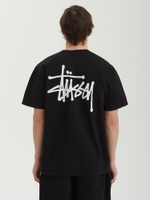 Мужская Футболка Basic Stussy Pig. Dyed