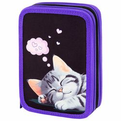 Пеналы школьные створчатые