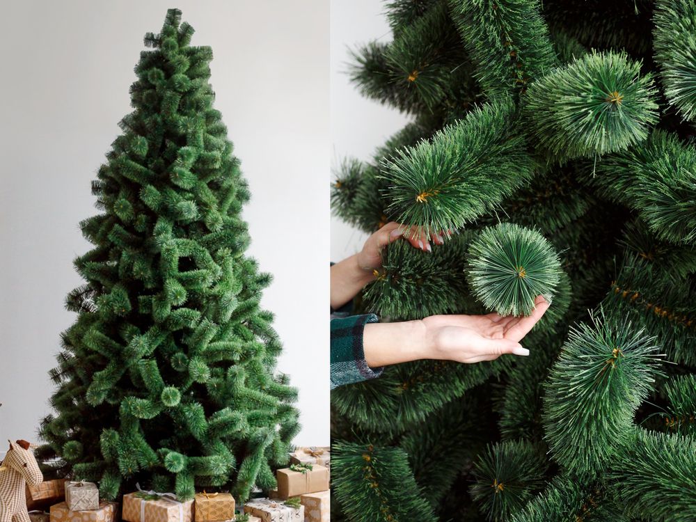 ель/сосна "Рублевская - хвоя лескараспушенная