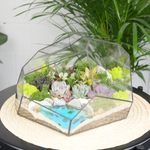 Готовый флорариум с суккулентами Валун с озером