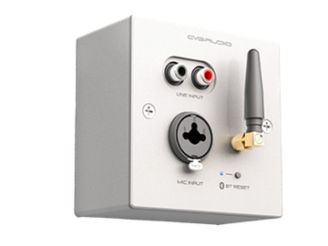 CVGAUDIO PW/EX-IN/W универсальная настенная панель для удаленного подключения балансного микрофона MIC IN