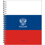 ТЕТРАДЬ ОБЩАЯ 96 ЛИСТОВ НА МЕТАЛЛИЧЕСКОМ ГРЕБНЕ “РОССИЯ”