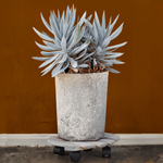 Подставка для цветов напольная на колесиках Флорэль деревянная круглая серая