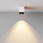 Накладной светодиодный светильник Maytoni Alfa LED C064CL-5W3K-SQ-WB