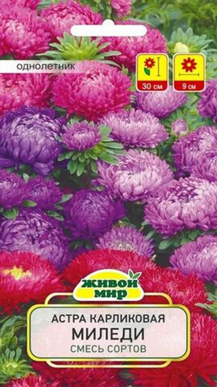 Астра карликовая "ЖМ. Mилeди" 0,5г., Польша.