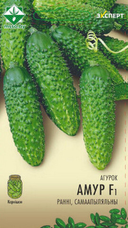 Огурец "Амур F1" 10шт, Нидерланды.