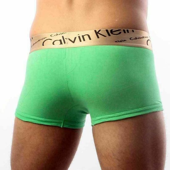 Мужские трусы боксеры зеленые с косой резинкой Calvin Klein Bronze Boxer Italics Green