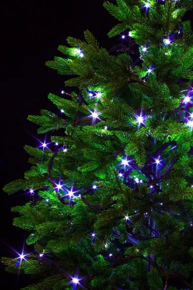 Светодиодная нить 6 м., 220V, 60 холодных белых LED ламп, контроллер, черный провод, Winner Light (w.01.5B.60-)