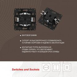 Розетка с заземлением и со шторкой, без рамки Arte Milano am-217 217.40-1.shampan