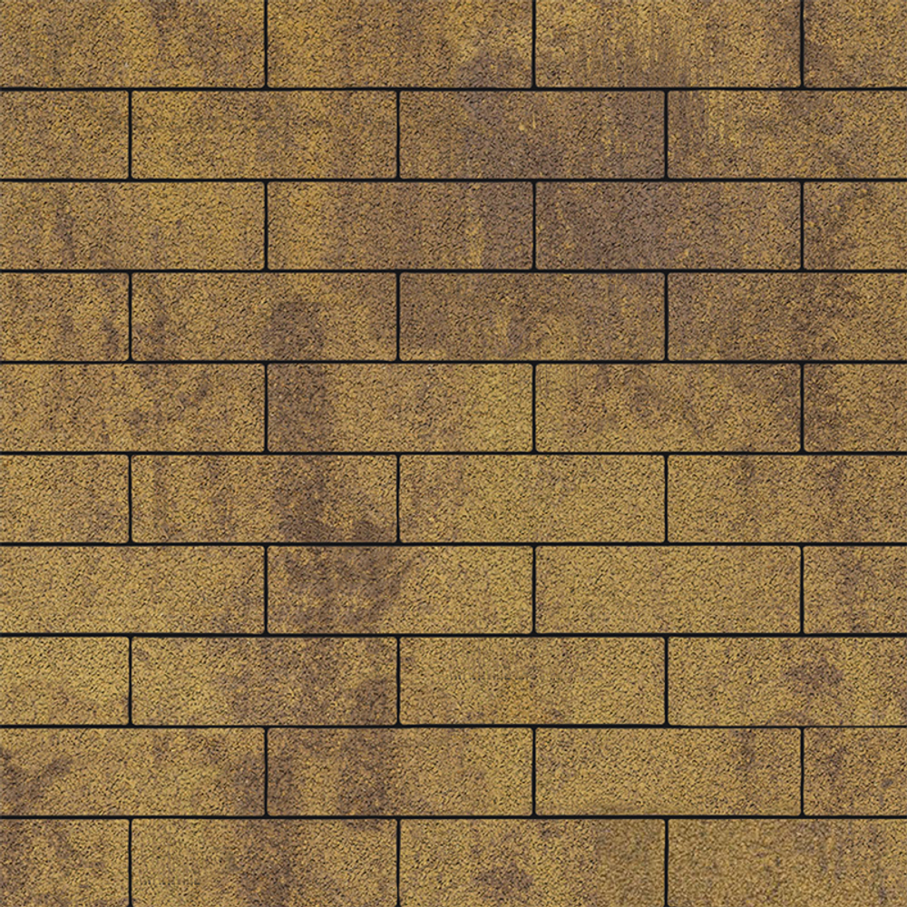 Тротуарная плитка ПРЯМОУГОЛЬНИК 300х100 мм - Листопад гранит Янтарь