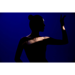 Проекционная насадка Godox VSA-19K с линзой 19°