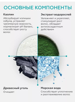 Шампунь и маска на основе минеральной глины и морских экстрактов C-TOX CLAY SHAMPOO 200ML+200ML