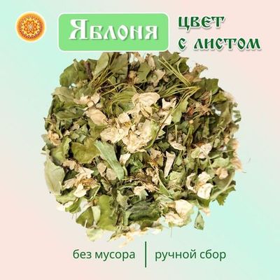 Яблоня (цвет с листом)