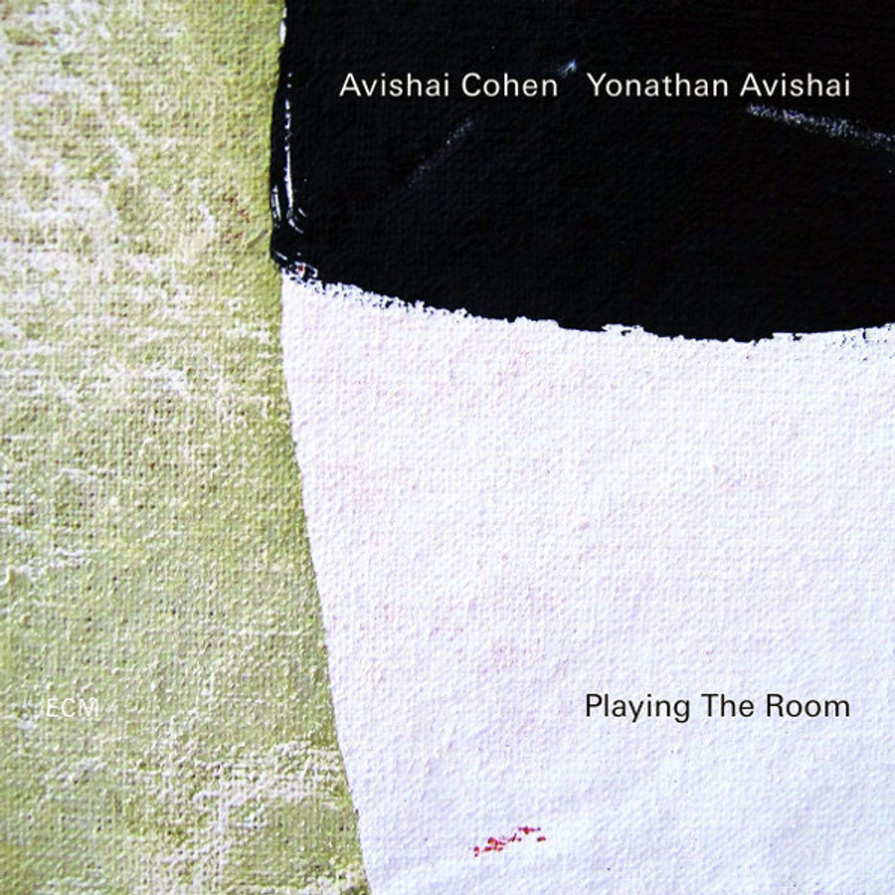 Avishai Cohen, Yonathan Avishai / Playing The Room (LP)