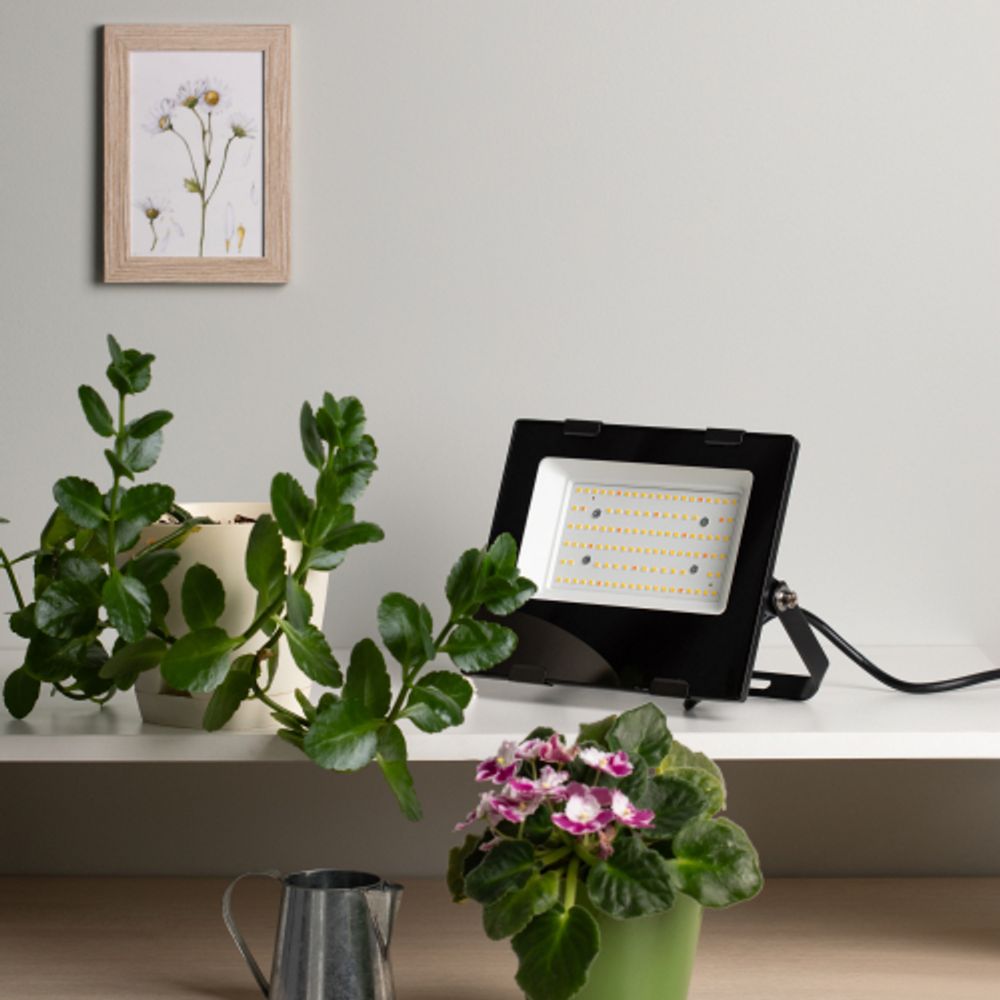 Фитопрожектор для растений светодиодный ЭРА FITO-50W-Ra90-LED для цветения и плодоношения полного спектра 50 Вт | Фито прожекторы