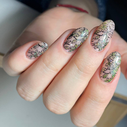 Swanky Stamping Пластина для стемпинга 103,