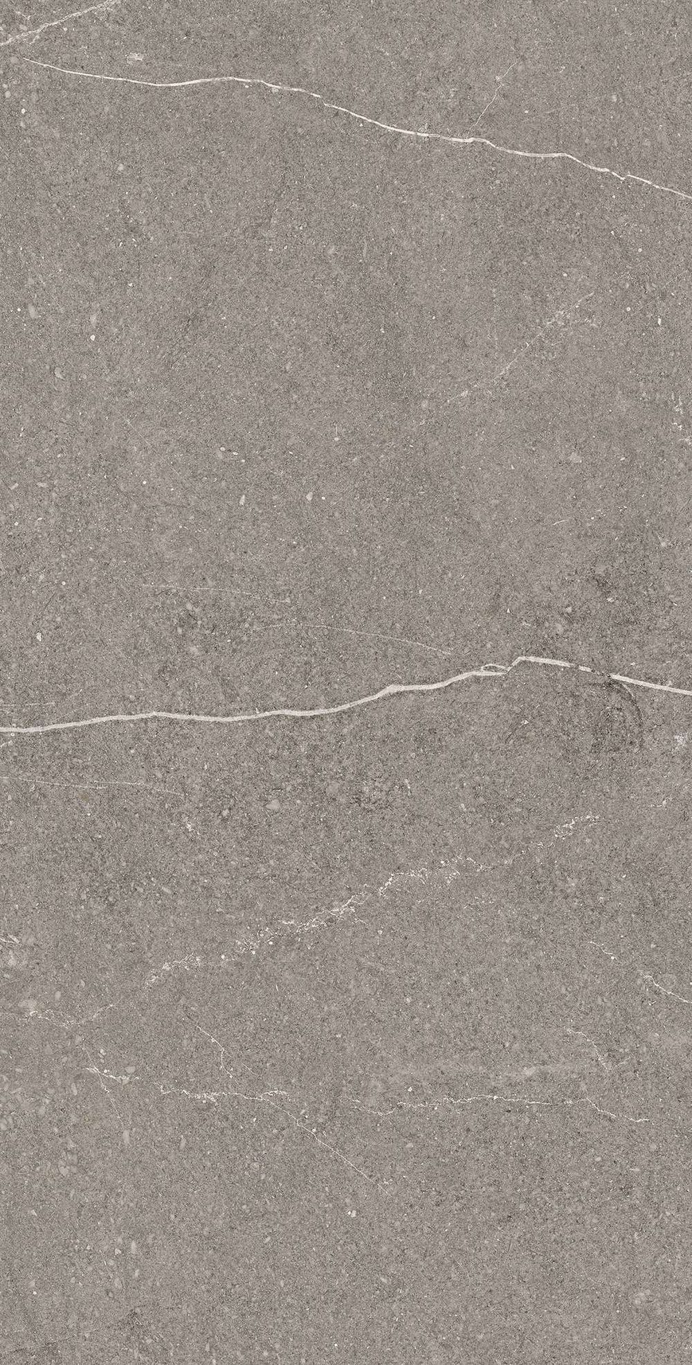 Керамогранит, Arcadia Ceramica, EQUISTONE GRAPHITE, 1200x600 мм, матовая с микрогранулами