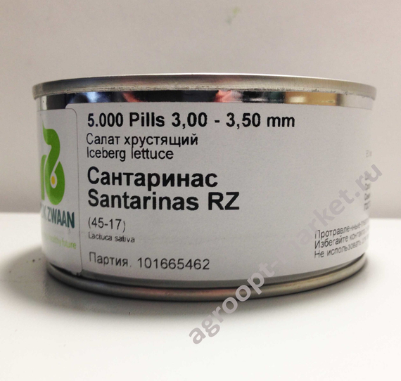 САНТАРИНАС семена салата айсберг (Rijk Zwaan / Alexagro) – фото 11