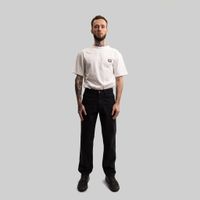  Брюки мужские Dickies Skateboarding Jake Hayes Pants артикул:WPJH01 - купить в магазине Дайс