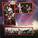 Various artists/ California Jam 2 (2LP)