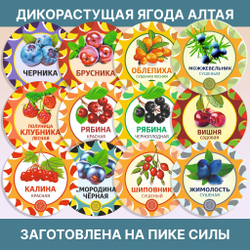 Можжевельник.