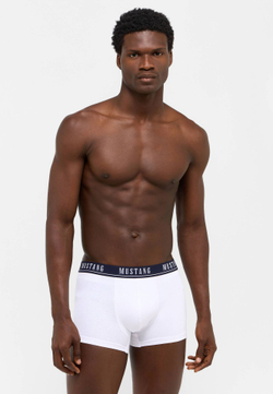 Трусы ( набор 3 шт. ) мужские MUSTANG Retro PO3
