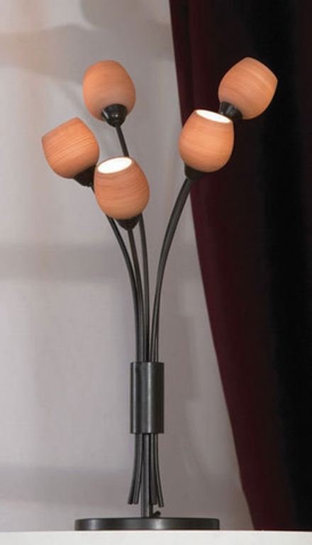 Настольная лампа  LSA-3004-05