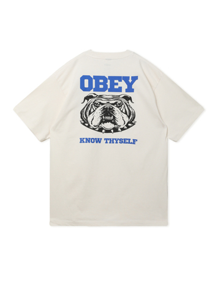 Мужская Футболка Obey Know Thyself
