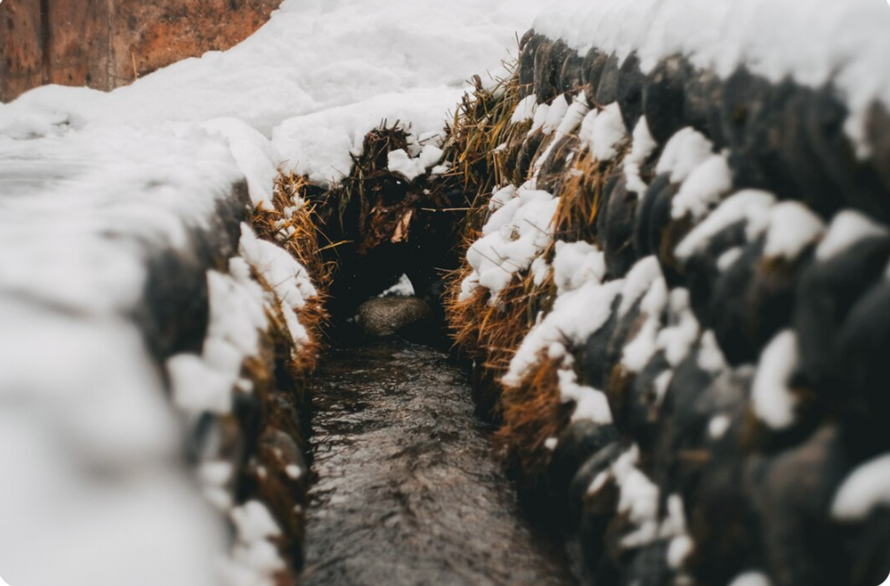 Весенняя диагностика септика после зимы: пошаговое руководство по проверке