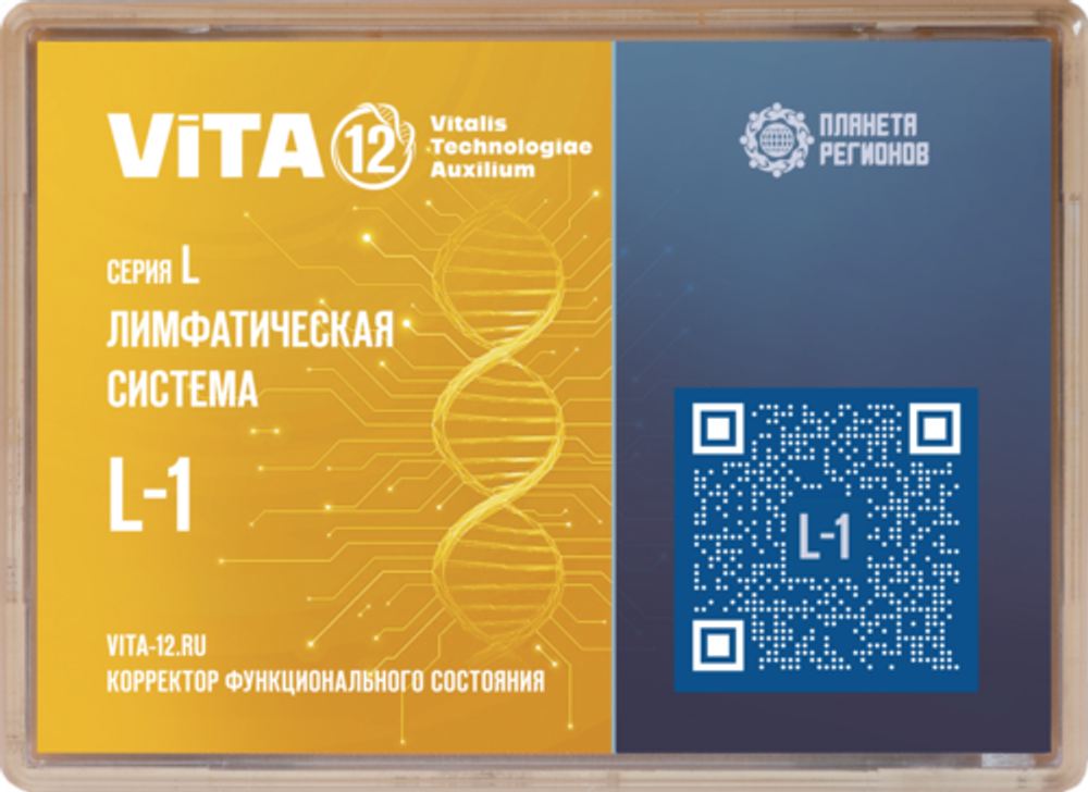 КФС 12 Элементов L-1 серии &quot;Лимфатическая система&quot;