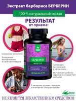 Концентрат «Берберин физетин»