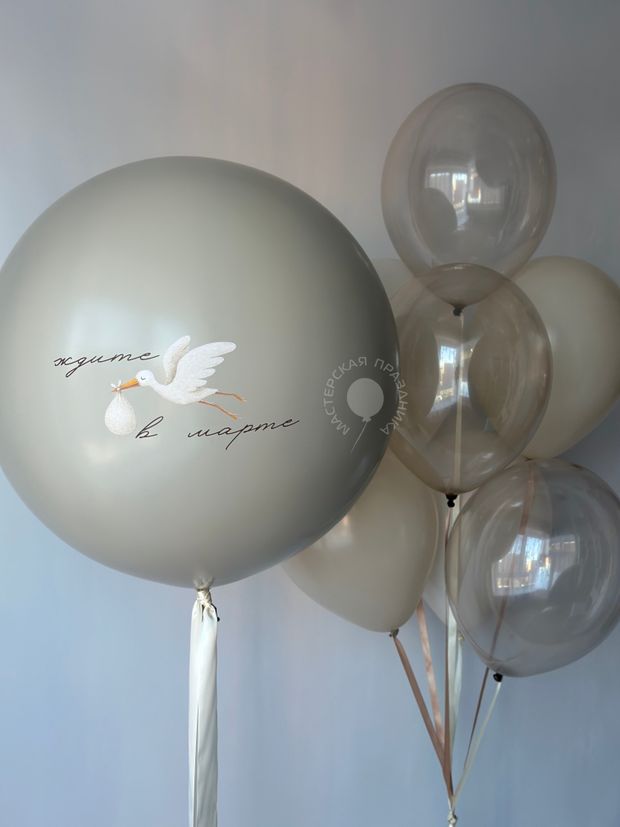 Воздушные шары на определение пола №8656