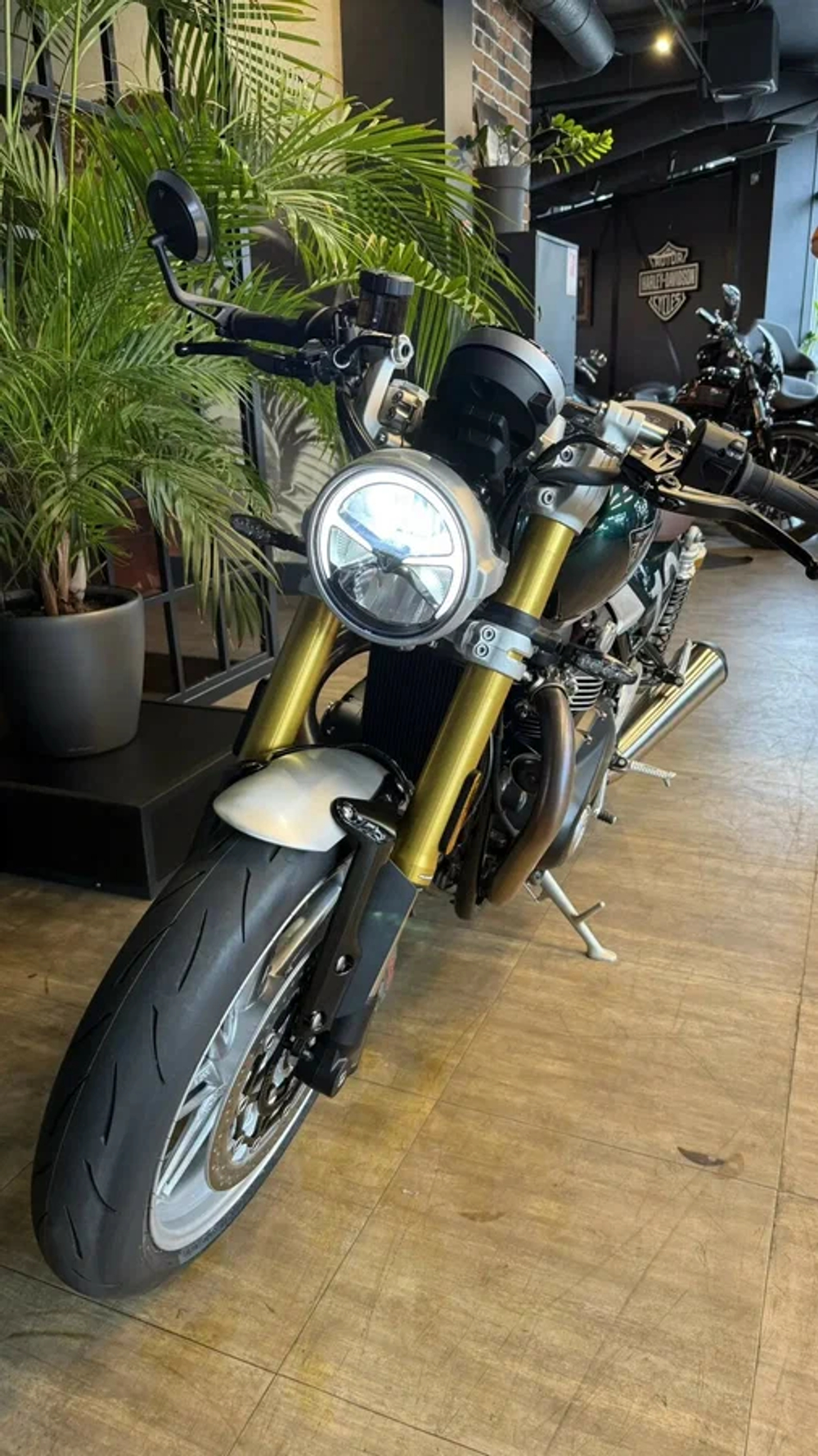 Triumph Speed Twin, 2026
