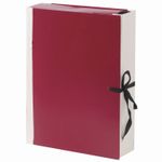 Папка для бумаг архивная А4 (225х310 мм), 80 мм, 4 завязки, бумвинил, корешок - коленкор, 123200