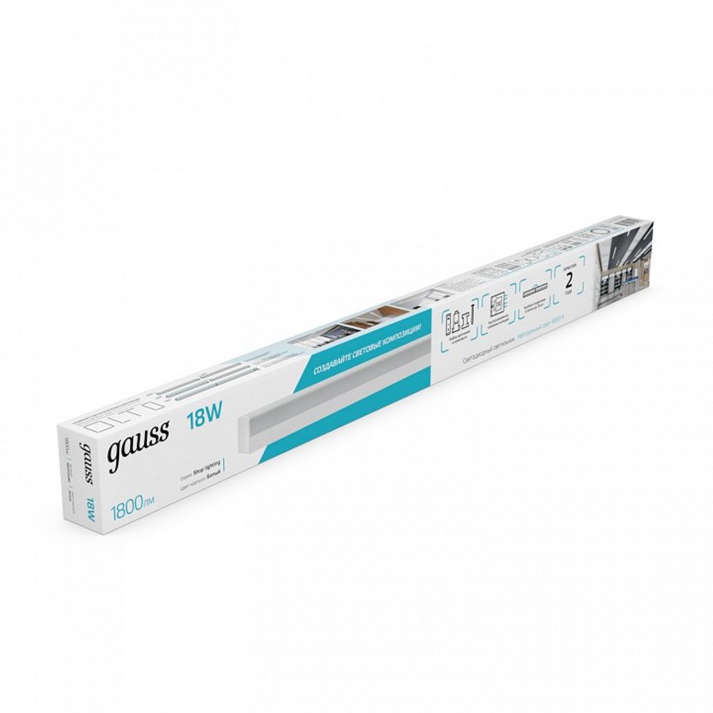 Накладной светильник Gauss  883525280