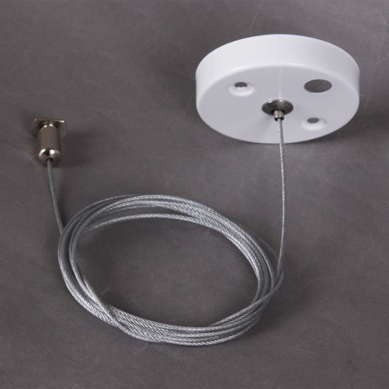 RL 06035/06036 suspension cable 2M WT