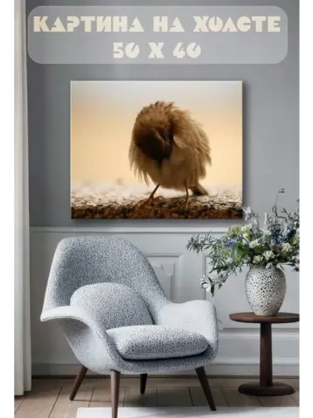 Картина на стену 40 X 50 Птичка
