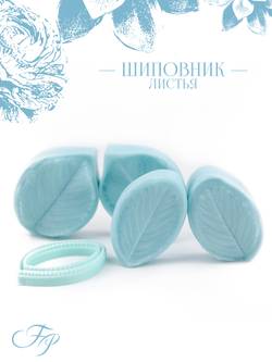 Шиповник листья