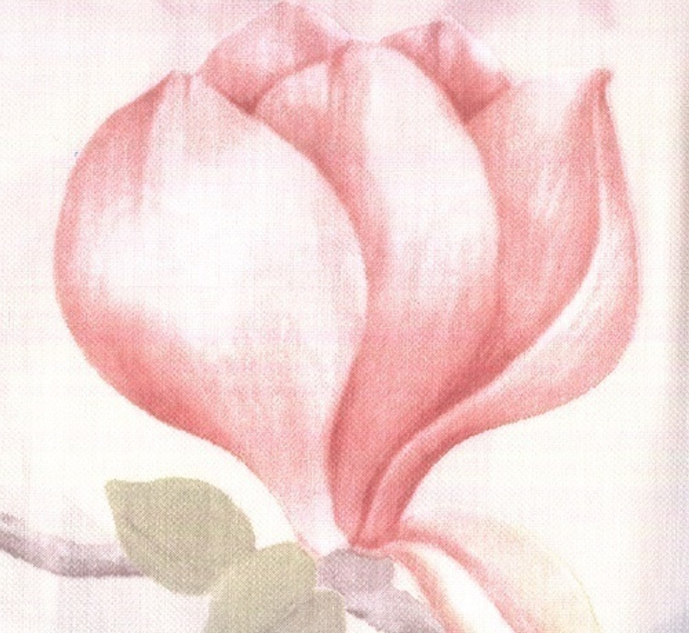 Пододеяльник 155x200 Elegante Magnolie бежевый фото