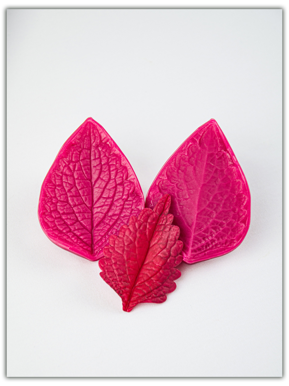 Колеус. Сорт 1