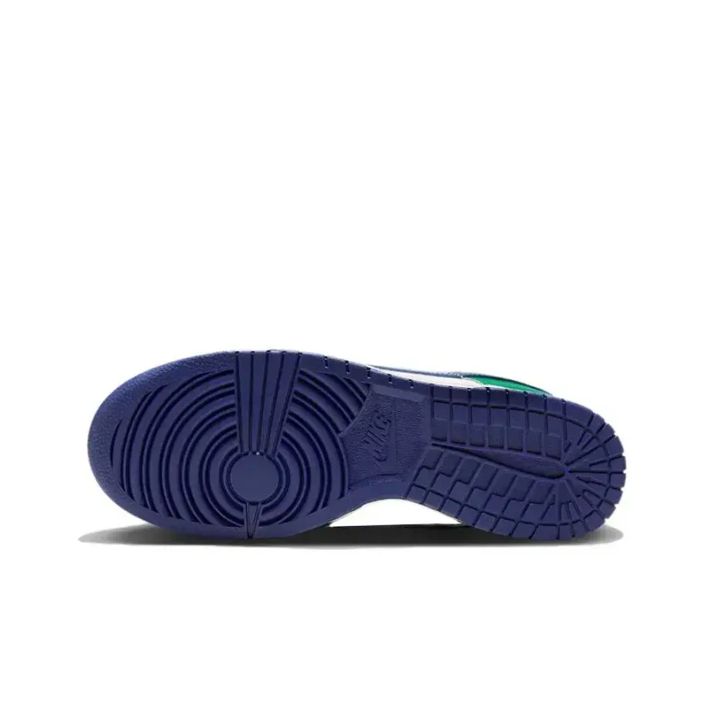 Nike Dunk Low Skate shoes