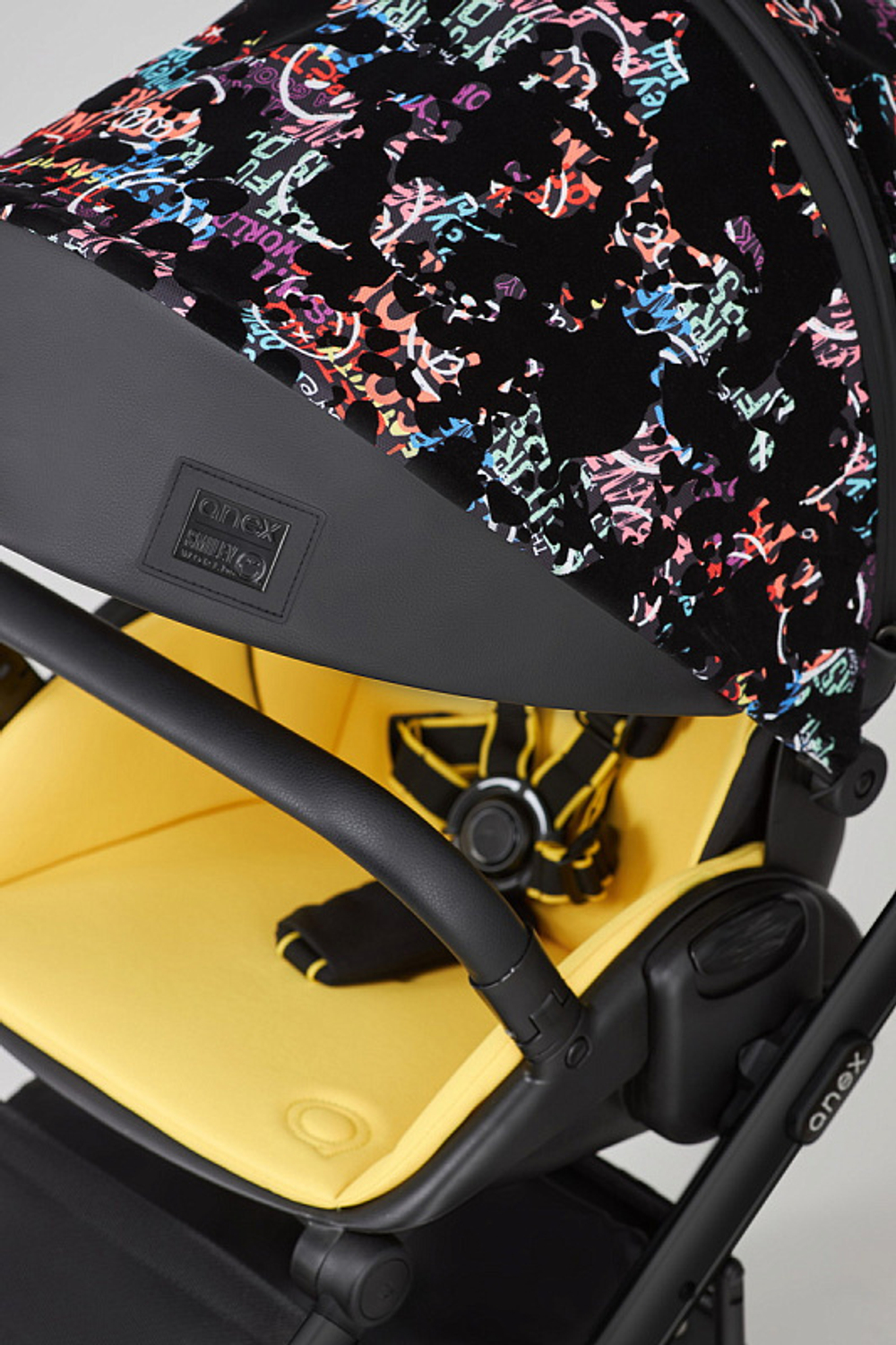Детская коляска Anex e/type 2 в 1 art