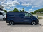 Renault Trafic Furgone Ice