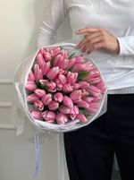Букет из 51 нежно-розового тюльпана - нет в наличии