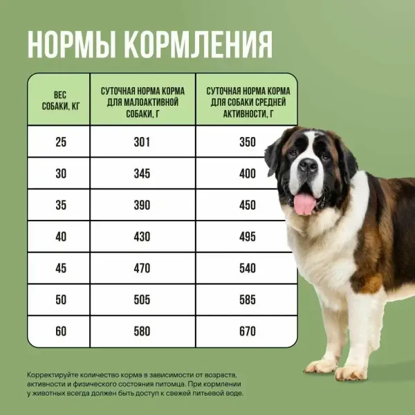 Уценка! Срок 27.08.26/ Сухой корм BOWL WOW для взрослых собак крупных пород с ягненком, индейкой, рисом и добавлением цукини
