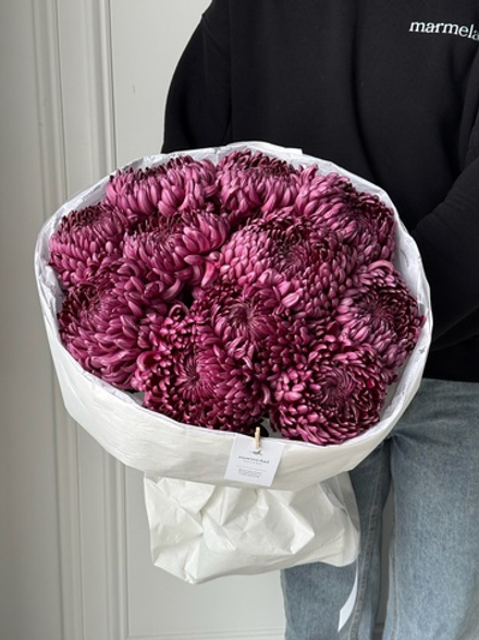 Моно из одноголовой хризантемы сливового оттенка 11шт