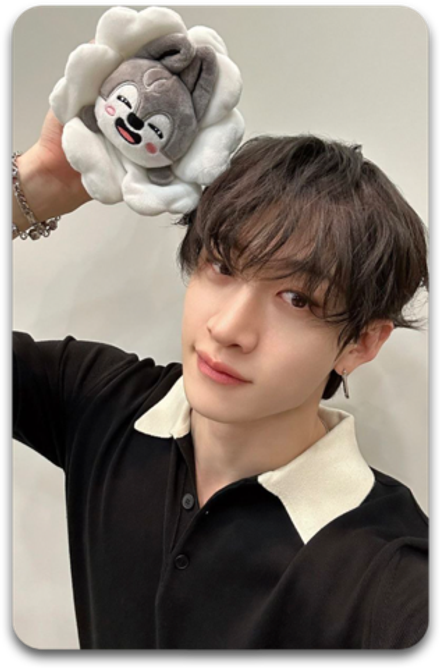 Карта / STRAY KIDS #2636