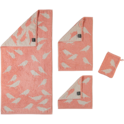 Полотенце 50x100 Cawo Central Park 539 коралловое